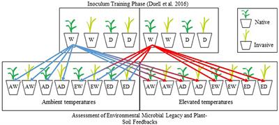 Climate Affects Plant-Soil Feedback of Native and Invasive Grasses: Negative Feedbacks in Stable but Not in Variable Environments